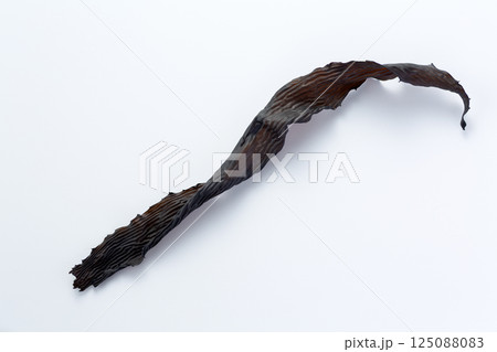 あらめ（海草） 125088083