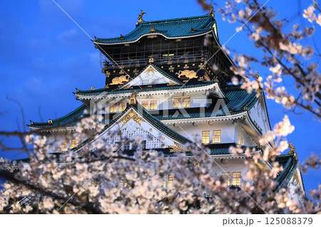 夜の大阪城と桜(大阪府大阪市) 夜の大阪城と桜(大阪府大阪市) 125088379