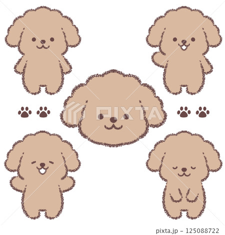 トイプードルのバリエーションセット 125088722