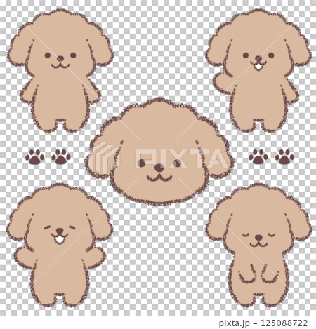 トイプードルのバリエーションセット 125088722