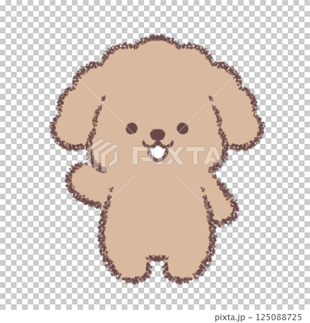 案内するトイプードル 125088725