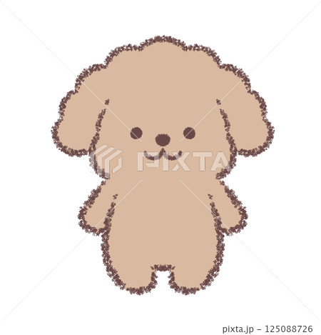 立ちポーズのトイプードル 125088726