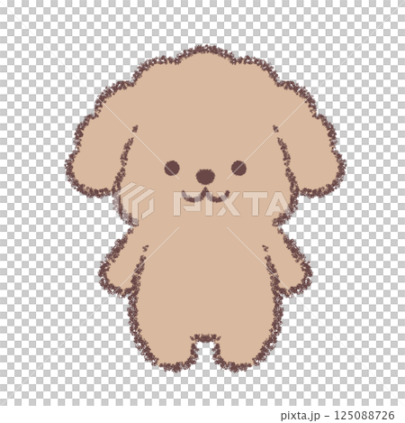 立ちポーズのトイプードル 125088726