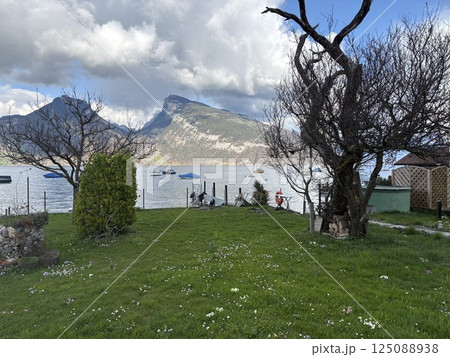 スイス　トゥーン湖 125088938