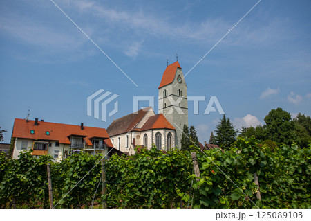 Scenic vineyard landscape near Bodensee showcasing traditional architecture and lush grapevines in summer Scenic vineyard landscape near Bodensee showcasing traditional architecture and lush grapevines in summer 125089103