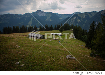 Majestic German mountains cradle a serene valley filled with lush greenery and farms nestled amidst towering peaks Majestic German mountains cradle a serene valley filled with lush greenery and farms nestled amidst towering peaks 125089271