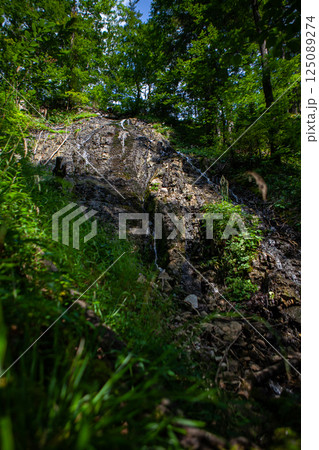 Discover the serene beauty of a hidden waterfall amidst lush greenery in Germanys enchanting forest Discover the serene beauty of a hidden waterfall amidst lush greenery in Germanys enchanting forest 125089274