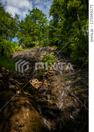 Explore the serenity of a hidden waterfall cascading through lush forests in Germany on a sunny day Explore the serenity of a hidden waterfall cascading through lush forests in Germany on a sunny day 125089275