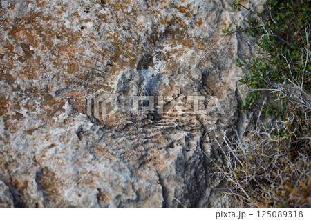 Uncovering ancient textures on coastal rocks in Ayia Napa, Cyprus under the bright summer sun Uncovering ancient textures on coastal rocks in Ayia Napa, Cyprus under the bright summer sun 125089318