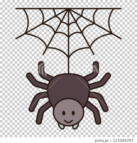 SPIDER cute animal illustration outline doodle simple kawaii Japanese style drawing kiddy icon minimalist symbol isolated  125089765