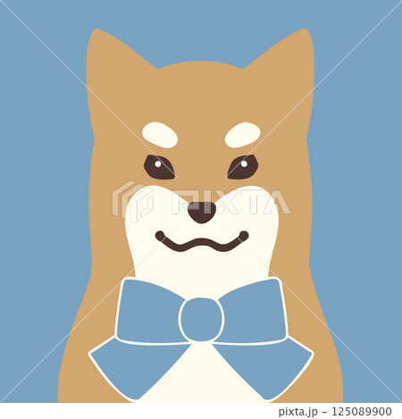かわいい柴犬のイラスト・ブルー背景あり 125089900