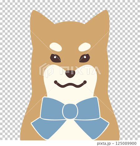 かわいい柴犬のイラスト・ブルー背景あり 125089900