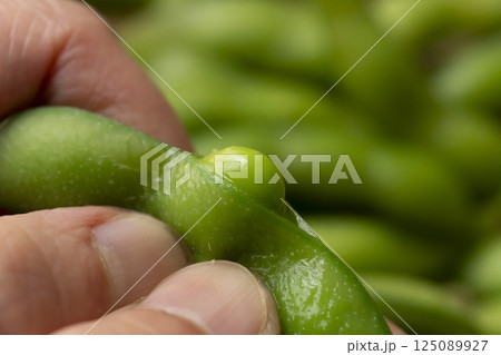 茹でた枝豆を手で出す 茹でた枝豆を手で出す 125089927