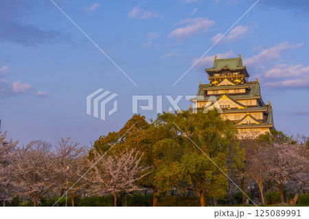 夕日に照らされる大阪城天守閣　桜咲く季節 125089991