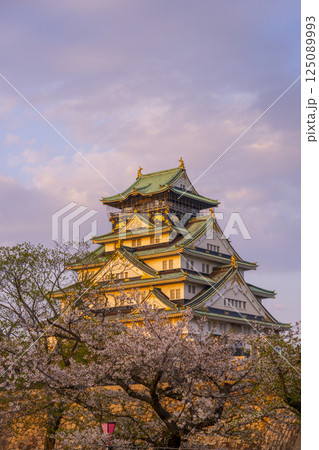 夕日に照らされる大阪城天守閣　桜咲く季節 125089993