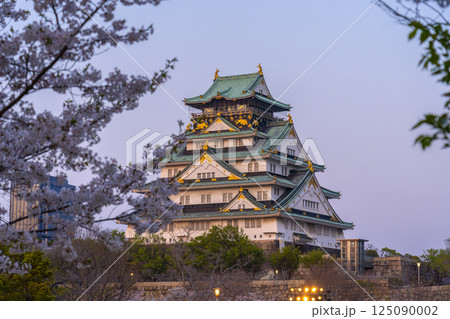 夕日に照らされる大阪城天守閣　桜咲く季節 125090002
