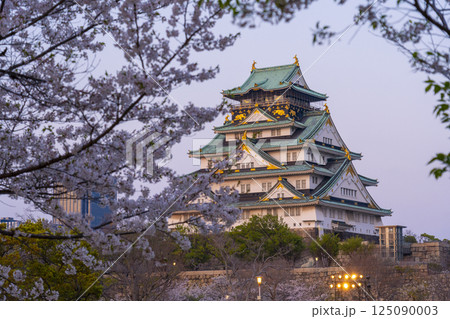 夕日に照らされる大阪城天守閣　桜咲く季節 125090003