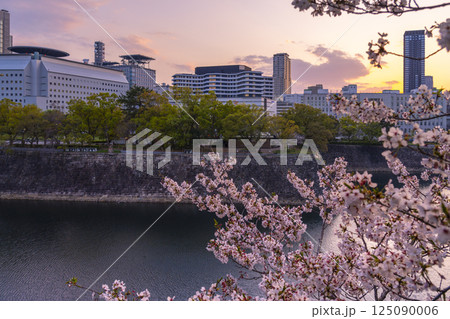 西の丸庭園から見える大阪国際がんセンターと満開の桜 125090006