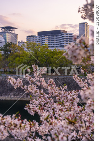 西の丸庭園から見える大阪国際がんセンターと満開の桜 125090007