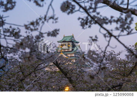 薄暮空の大阪城天守閣 桜咲く季節 薄暮空の大阪城天守閣 桜咲く季節 125090008