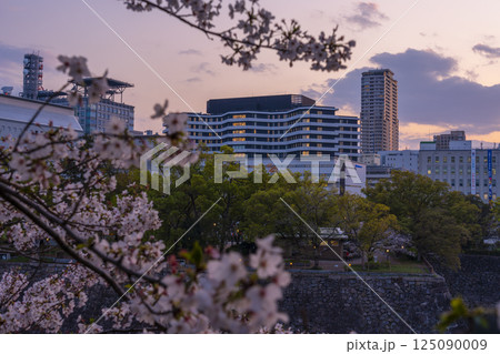 西の丸庭園から見える大阪国際がんセンターと満開の桜 125090009