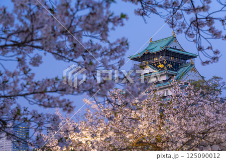 夜の大阪城天守閣 ライトアップされた夜桜 夜の大阪城天守閣 ライトアップされた夜桜 125090012