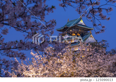 夜の大阪城天守閣 ライトアップされた夜桜 夜の大阪城天守閣 ライトアップされた夜桜 125090013