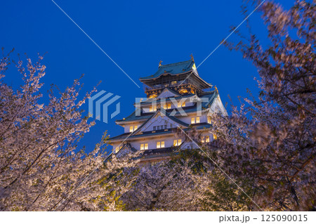 夜の大阪城天守閣　ライトアップされた夜桜 125090015