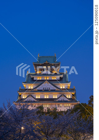 夜の大阪城天守閣　ライトアップされた夜桜 125090018