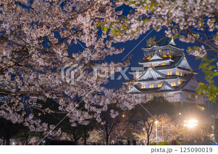 夜の大阪城天守閣　ライトアップされた夜桜 125090019