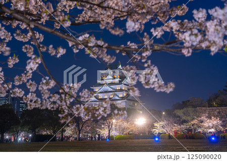 夜の大阪城天守閣　ライトアップされた夜桜 125090020