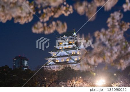 夜の大阪城天守閣　ライトアップされた夜桜 125090022