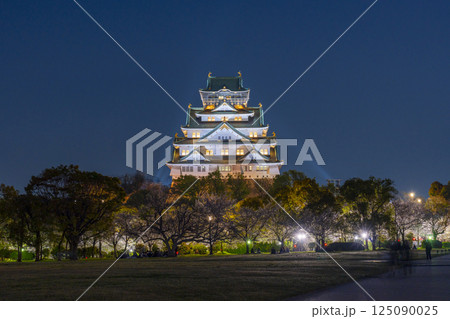 夜の大阪城天守閣　ライトアップされた夜桜 125090025
