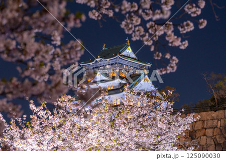 夜の大阪城天守閣 ライトアップされた夜桜 夜の大阪城天守閣 ライトアップされた夜桜 125090030
