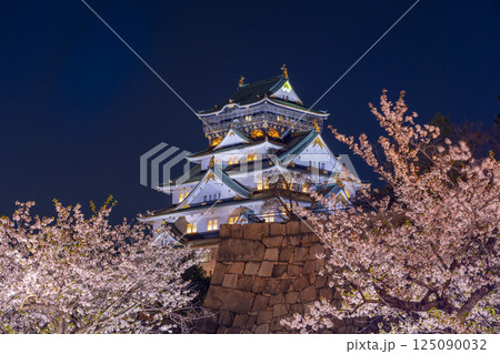 夜の大阪城天守閣 ライトアップされた夜桜 夜の大阪城天守閣 ライトアップされた夜桜 125090032
