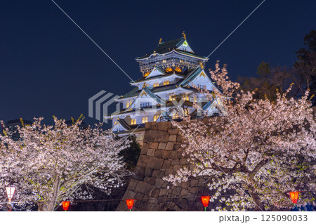 夜の大阪城天守閣 ライトアップされた夜桜 夜の大阪城天守閣 ライトアップされた夜桜 125090033