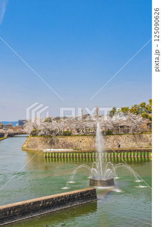 京都市　春爛漫の岡崎疎水風景 125090626