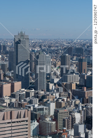 高層ビルから見る都心の風景 高層ビルから見る都心の風景 125090747