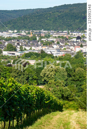 ドイツ・トリーアの葡萄畑と丘陵風景 125091348