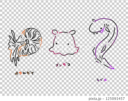 オウムガイ メンダコ ラブカ オウムガイ メンダコ ラブカ 125091457