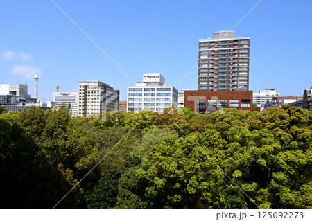 横浜公園周辺の風景 125092273