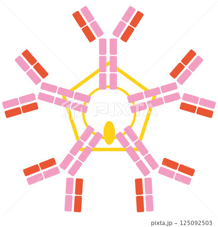 免疫グロブリンM (IgM)のイラスト(単品)ピンクカラー 免疫グロブリンM (IgM)のイラスト(単品)ピンクカラー 125092503