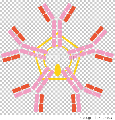 免疫グロブリンM (IgM)のイラスト(単品)ピンクカラー 免疫グロブリンM (IgM)のイラスト(単品)ピンクカラー 125092503