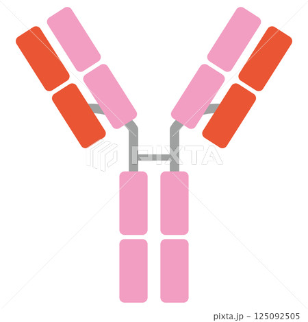 免疫グロブリンD (IgD)のイラスト（単品）グリーンカラー 125092505