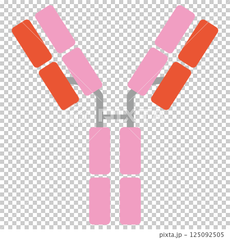 免疫グロブリンD (IgD)のイラスト（単品）グリーンカラー 125092505