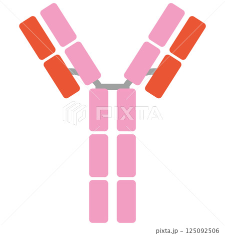 免疫グロブリンE (IgE)のイラスト(単品)ピンクカラー 免疫グロブリンE (IgE)のイラスト(単品)ピンクカラー 125092506