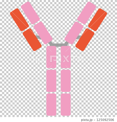 免疫球蛋白E（IgE）插圖（單品）粉紅色 125092506