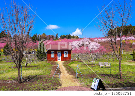 かわいいハウスとハナモモの丘 125092751