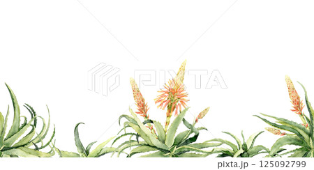 Seamless horizontal border with blooming aloe vera plants Seamless horizontal border with blooming aloe vera plants 125092799