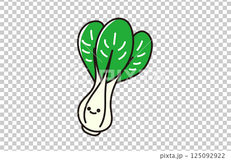 かわいいチンゲンサイの野菜イラスト 125092922
